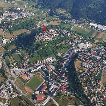 Field Buzet