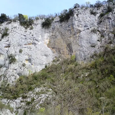 Field * Buzet